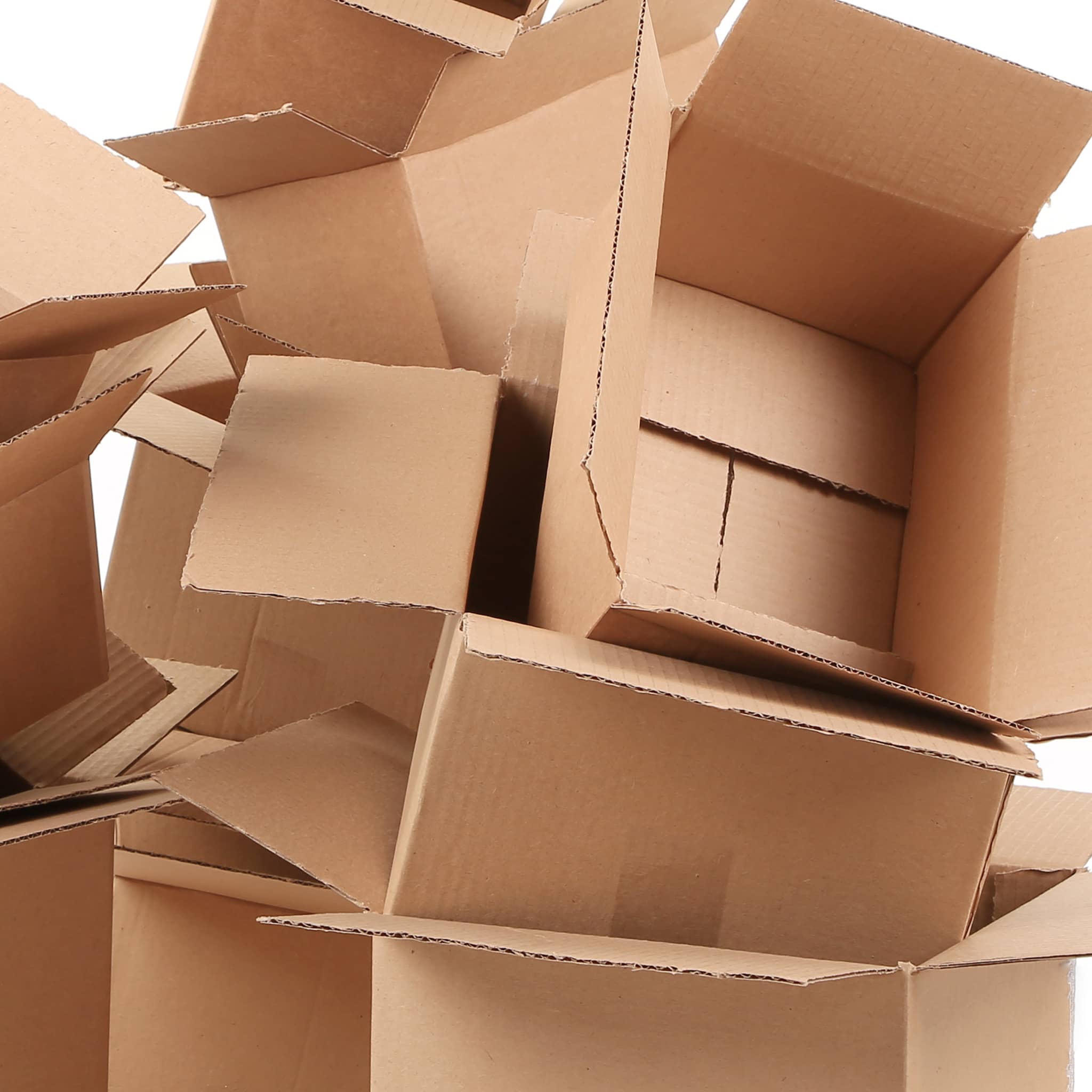 Paper & Cardboard