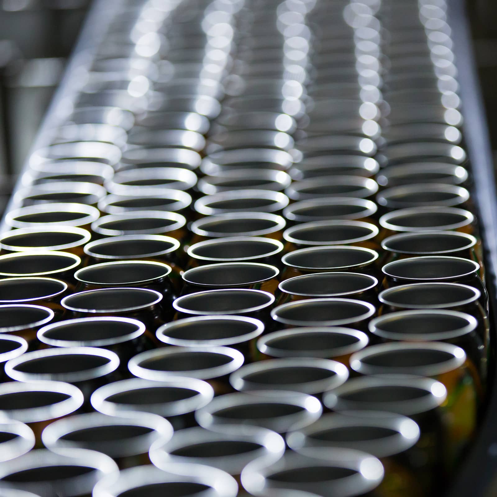 Austropresssen Metallverpackungen Dosen am Förderband